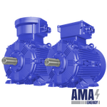 Low Voltage Flame Proof Motors, WEX3 Series