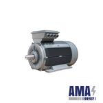 GMM3E 400 L 4e B35 – Three‑Phase Asynchronous motor
