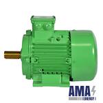 Electric Motors (IE2, IE3, and Synchrovert® IE4 Super Premium Efficiency)