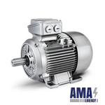 SIMOTICS DP Definite Purpose motors for marine applications Marine motors