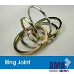 Ring Joint Gaskets Ring Joint Gaskets