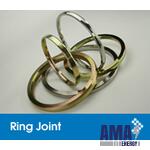 Ring Joint Gaskets