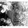 Meteorological Observations