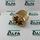 SPLINE SHANK AR86605920