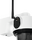 Ppic42520