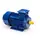 Electric motor 5AI 90 L2 3/3000 IM 1081