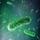 Evabio™ Bactericides