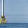 Offshore Wind Farm Development