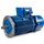 E..DB / E..DC Series – Flameproof Brake Motor (IE3-IE4)