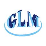 Wuhan Linmei Head Manufacturing Co., Ltd. Wuhan Linmei Head Manufacturing Co., Ltd.