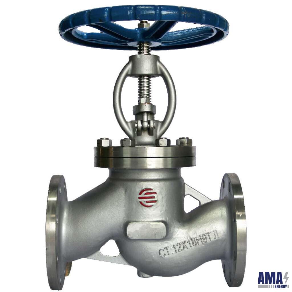 Gate valve Stuffing box Em21001 AmasEnergy