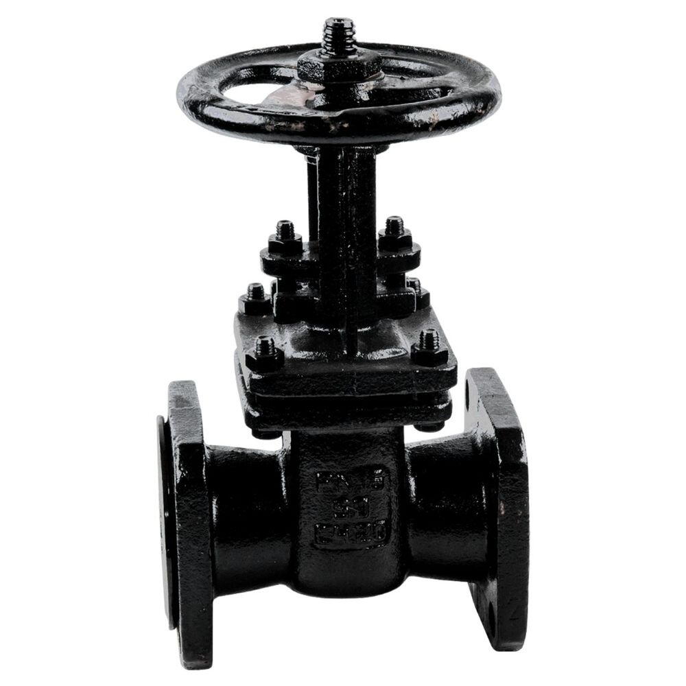 Cast iron Parallel gate valve 30Ch7Bk | AmasEnergy
