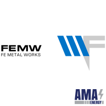 FEMW