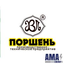 Производственно-Техническое Предприятие Поршень