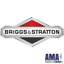 Briggs & Stratton