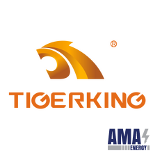 Tigerking Safe Technology Co., Ltd.