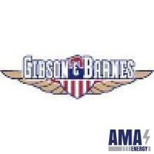 Gibson & Barnes 