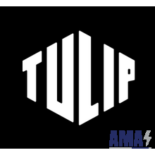 Tulip Industries B.V. (part of Peeters Group)