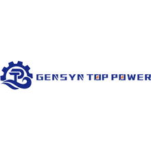Shandong Gensyn Top Power Co., Ltd.