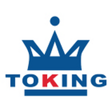 TOKING AUTO  - TOKING HOLDING GROUP LIMITED