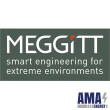 Meggitt SENSOREX