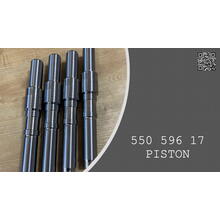 PISTON - 550 596 17 - 55059617 | AmasEnergy