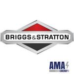 Briggs & Stratton Briggs & Stratton