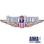Gibson & Barnes 