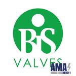 BiS Valves Ltd