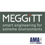 Meggitt SENSOREX