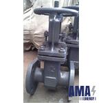 Cast iron gate valves