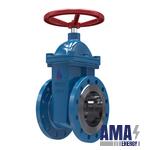 Cast iron gate valve 30Ch39R