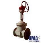 Wedge gate valves