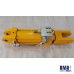 110703-Counterweight Cylinder Assembly TDS parts Tds11Sa VARCO Top Drive System parts TDS CANRIG