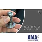 Compression SPRING - 3115 2903 00 - 3115290300