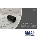 DOWN CYLINDER - 86781747