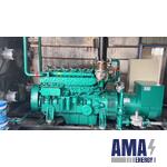 1,000Kw gas Generator set fueled by Natural gas, biogas from farms, Factories...