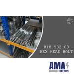 HEX HEAD BOLT - 818 532 09 - 81853209