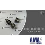 VALVE CAP - D9J3-1008000-01