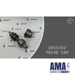 VALVE CAP - DF00300