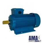Electric motor AIR 90 L6