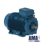 Dustproof Electric Motor W22Xtb IE1 90 kW 4P 280S/M 3Ph 380-415/660//440-460 Volt 50 Hz IC411 - TEFC - B3T