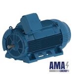 W50 560 kW 4P 400J/H 3Ph 400 Volts 50 Hz IC411 - TEFC - B3R(E)