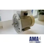 AIR type Electric motors with Squirrel-cage rotor