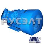 Explosion-proof Electric motor VAO2-280M10