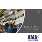 PULL ROPE - 3128 0781 97 - 3128078197
