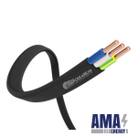 Cable PPG-Png(A)-HF (GOST 31996-2012)