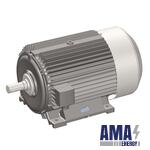 Electric motor AO103-4M