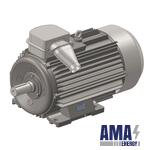 Electric motor 5Am–225M–2