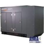 Stationary Generator | 40kW | Gaseous | 4.5L